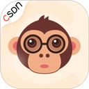 CSDN 图标